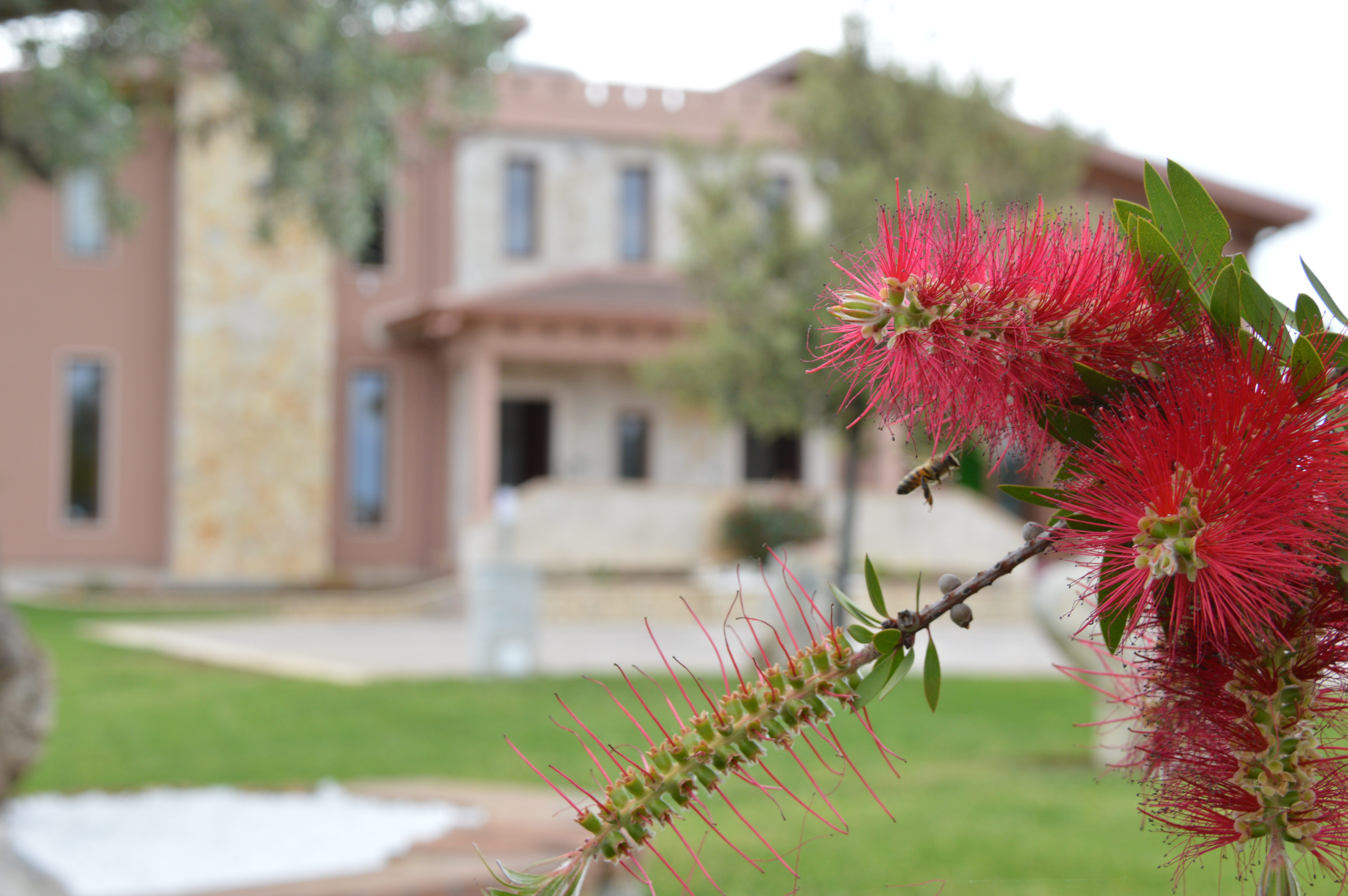 Bed & Breakfast               PRIMA LUCE